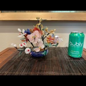 Medium size Jade tree